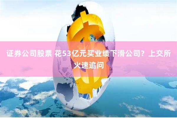 证券公司股票 花53亿元买业绩下滑公司？上交所火速追问