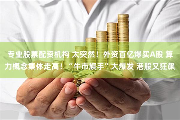 专业股票配资机构 太突然！外资百亿爆买A股 算力概念集体走高！“牛市旗手”大爆发 港股又狂飙