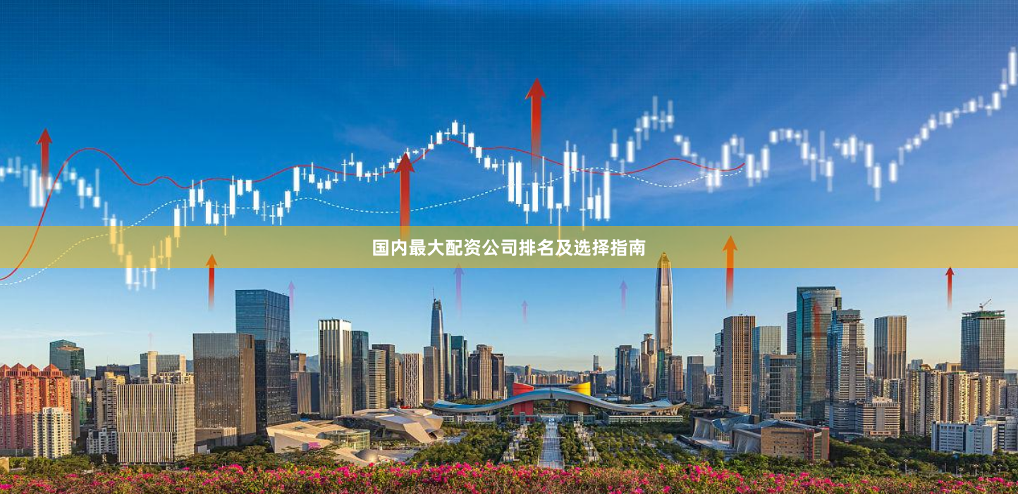 国内最大配资公司排名及选择指南
