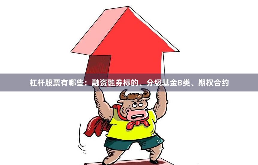 杠杆股票有哪些：融资融券标的、分级基金B类、期权合约