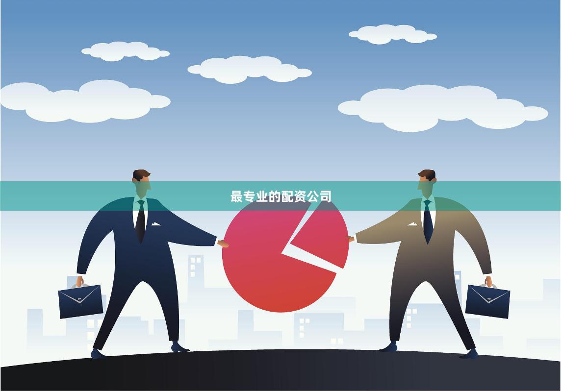 最专业的配资公司