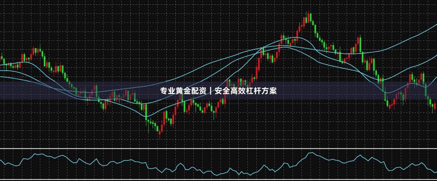 专业黄金配资｜安全高效杠杆方案